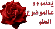 عمرو قطامش" إلى نهائيات برنامج Arabs Got Talent؛  2731741191